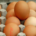 Post Thumbnail of Egg recall tied to salmonella outbreak grows